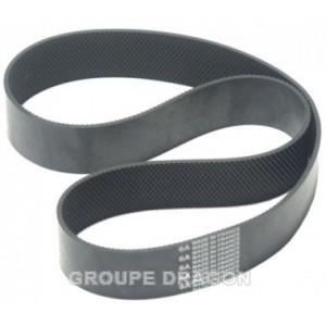 Courroie Electrolux 102335007 – Pour Cireuse, Caoutchouc - vue 2