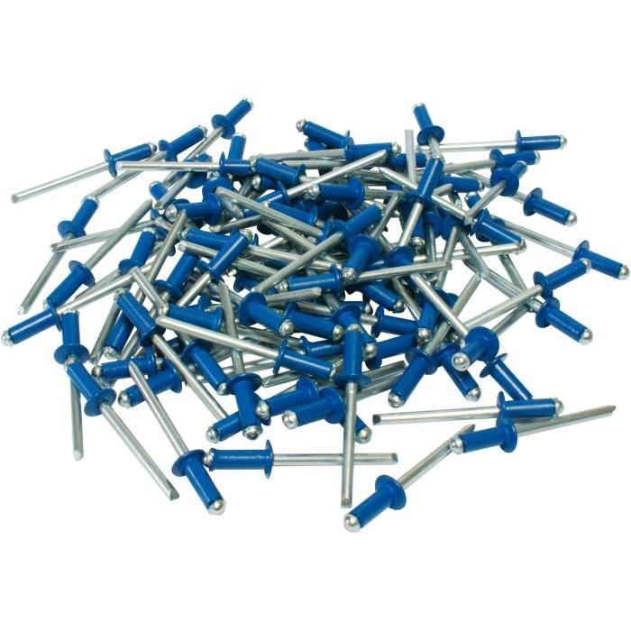 Cora 000116015 Kit de 100 rivets de fixation pour plaque d