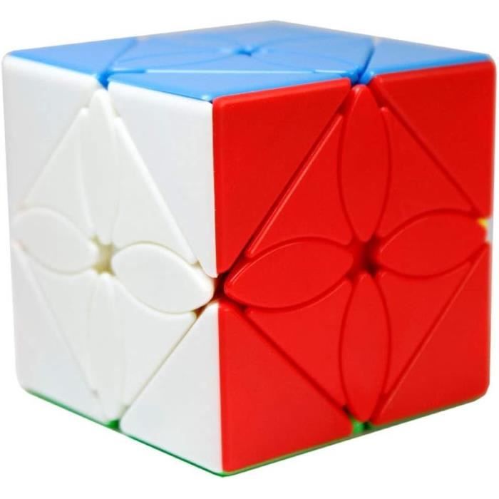MoYu Meilong 2x2 Cubo De Velocidad – Sin Pegatinas, Superficie Escarchada, Esquinas Redondeadas Y Núcleo Mejorado, Apto Para Principiantes Y Profesionales