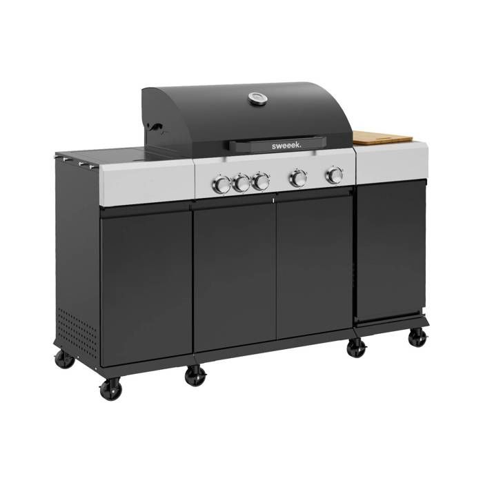 Brûleur 4 Feux Gaz GPL Pour Barbecue Rôtissoire - Acier Inox, Design Gastronomique, Livré Par DHL