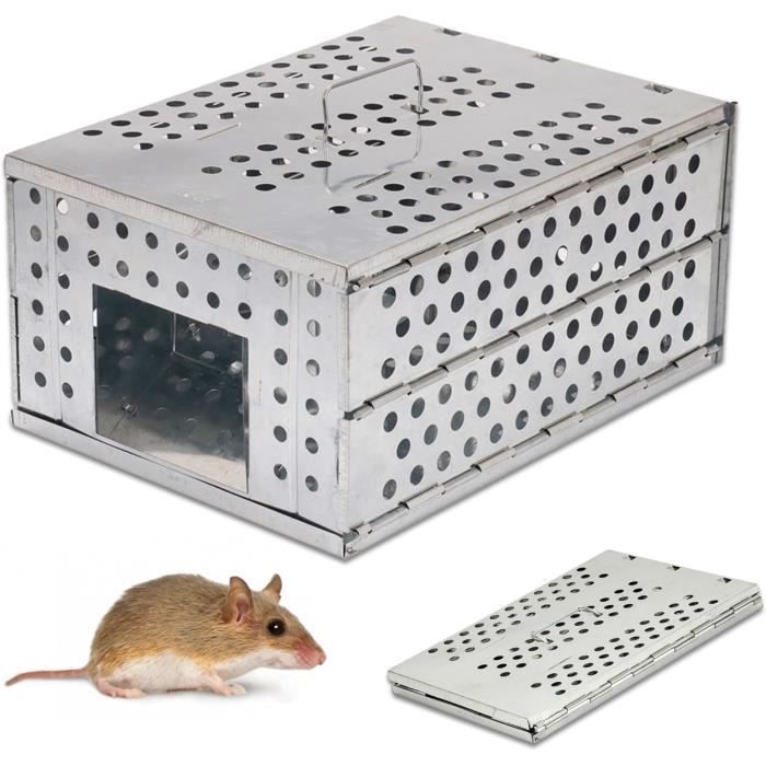 Piège à Rats XXL 43 Cm - Cage Vivante Double Porte Ultra Efficace Pour Rats, Souris, Loins, Mulots - Sans Tuer, Réutilisable & Très Sensible