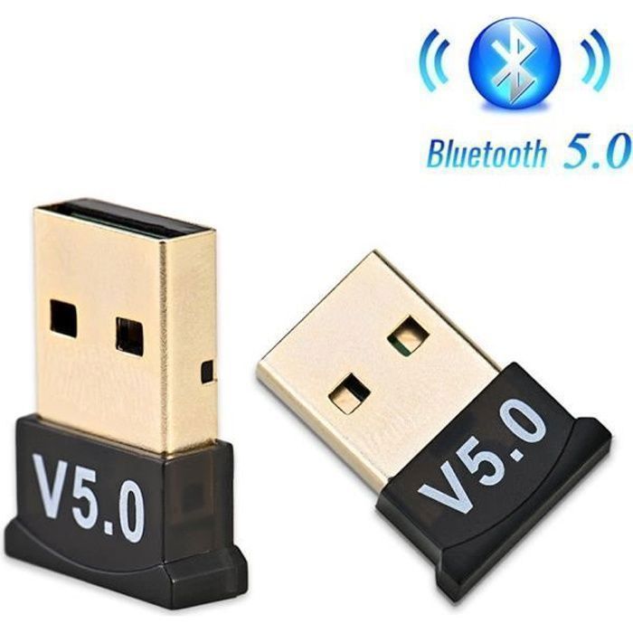 Clé USB Adaptateur Bluetooth V5.0-2.1 + EDR Key Sans Fil Dongle Pour PC  Portable - Cdiscount Informatique