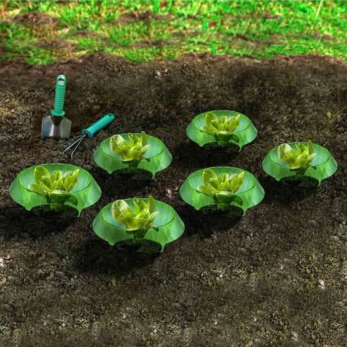 30 Chapeaux De Protection Pour Plantes - 19x18cm, Anti-Gel, Anti-Escargots, Serre Miniature