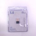 Clé USB Adaptateur Bluetooth V5.0-2.1 + EDR Key Sans Fil Dongle Pour PC Portable-3