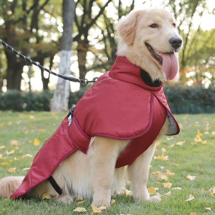 Veste pour top le froid