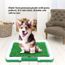 Toilette Portable Pour Chiens Chiots Chats à Pelouse Synthétique Tapis De Propreté Litière De Gazon Anti Odeur Formation De Pipi