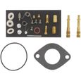 Kit réparation carburateur adaptable BRIGGS & STRATTON pour moteurs VANGUARD 15,5 / 16 / 16,5 / 17 cv-0