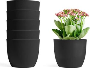 PROGRAMMATEUR ARROSAGE 6pcs Pot de Fleur d'arrosage Automatique 12 cm Noir Niveau d'eau Visible Maison Décorative Fleur Pot Fleurs Applicables,.[Q550]
