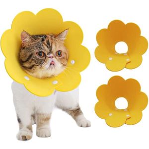 Collerette Pour Chat Cdiscount