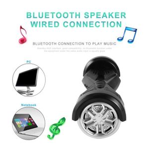 ENCEINTE NOMADE Haut-parleurs Bluetooth musique stéréo mains libre