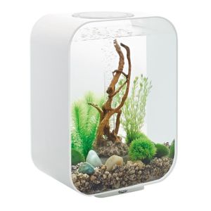 AQUARIUM Oase Aquarium décoratif 15l avec cadre blanc - Lif