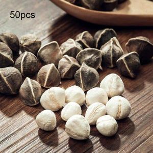 GRAINE - SEMENCE 50pcs graines de Moringa