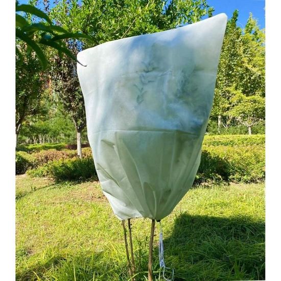 Voile D'Hivernage 200x240cm - Protection Plantes Extérieur - Avec Cordon Serrage - Tissu Non Tissé