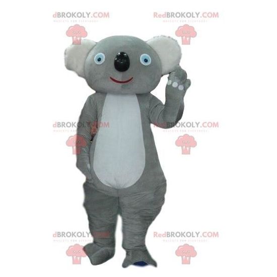 Mascotte de koala gris, costume Australie, animal australien Costume