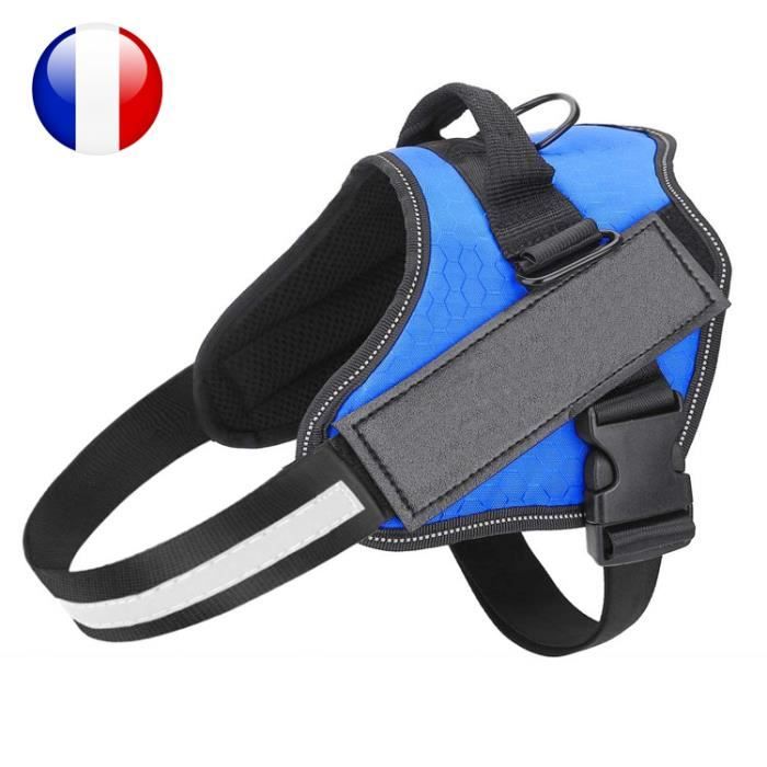 Harnais pour chien taille L couleur bleu , agility, dressage, promenade