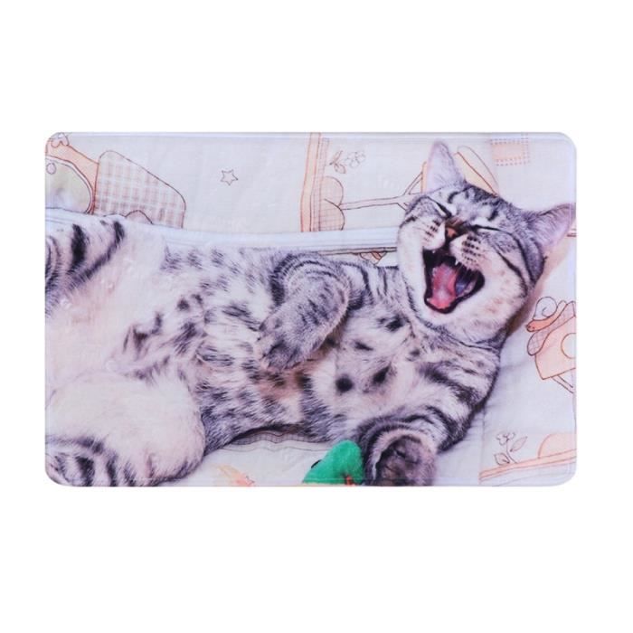 1 PC 3D anti-dérapant mode antidérapant dessin animé paillasson chat motif tapis de sol pour GROUND MAT - GYM MAT - YOGA MAT
