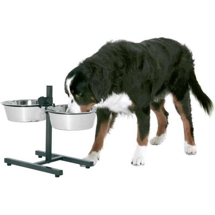 Bar Alimentation pour Chien Deluxe - Hauteur Réglable