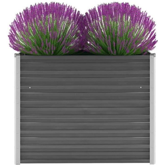 Magnifique Economique Haute qualité Luxueux Jardinière Acier galvanisé 100 x 40 x 77 cm Gris