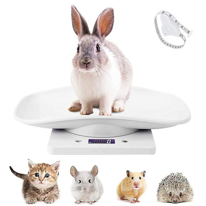 Balance numérique multifonctionnelle pour animaux de compagnie capacité 10 kg matériau ABS arrêt automatique 045 kg