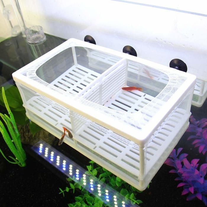 Filet de sélection pour poissons daquarium épuisette isolante pour poissons délevage incubateur en filet