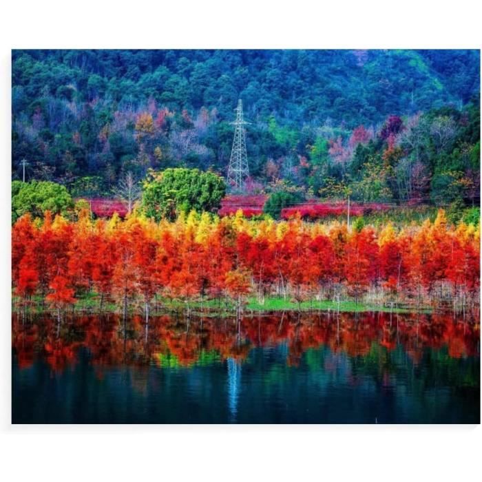 Bougimal Peinture Par Numéro Adulte – Toile Forêt 40x50 Cm, Pinceaux Et Acryliques Inclus, Sans Cadre