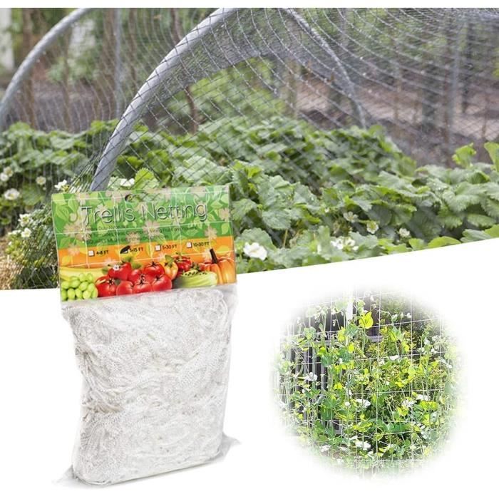 Filet de Treillis - Filet à Plantes Grimpantes - Support Plante Grimpante Filetpour Concombres Filet de Treillis - Filet à Plantes Grimpantes - Support Plante Grimpante Filetpour Concombres