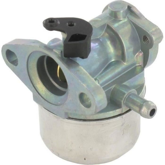 Carburateur BRIGGS ET STRATTON 498170 - 799868