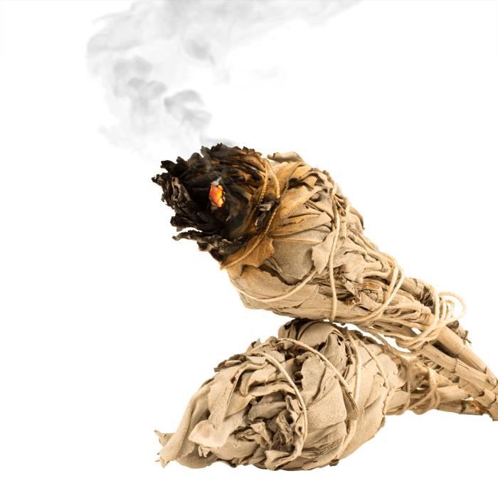 Sauge Blanche Purification a Bruler Encens Cebador Baton de Sauge 1520 — free download