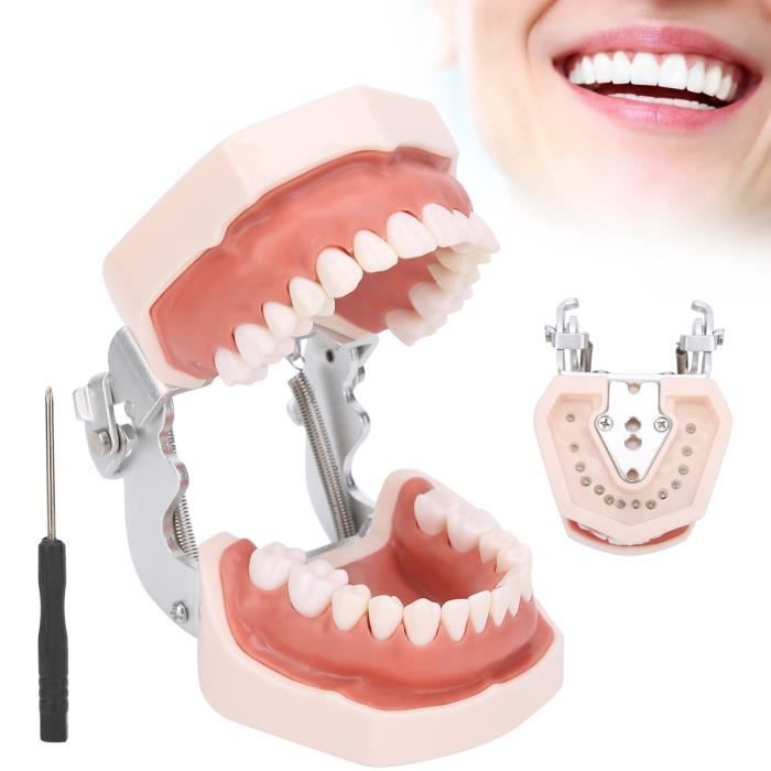 TMISHION distributeur de porte-cure-dents Conteneur de cure-dents en TMISHION distributeur de porte-cure-dents Conteneur de cure-dents en