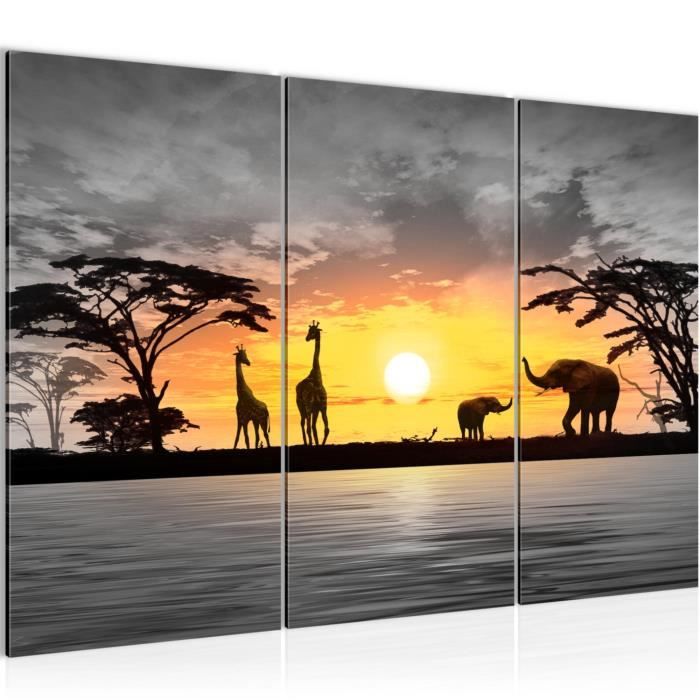 Tableau Déco Grand Format 145 Cm Sur Toile - Motif Afrique - Prêt à Accrocher, Marque Visario