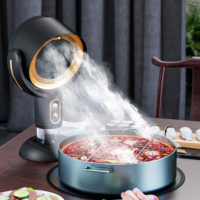 Hotte De Cuisine Portable à Ions Négatifs - Ventilateur Extracteur 2 Vitesses Pour Barbecue Intérieur Et Fumées