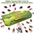 Pièges à Cafards,Anti Cafards Puissant,Produit Anti Cafard Collant,10 PCS Eco Friendly Spiders Bugs Killer pour Maison Chambre-1