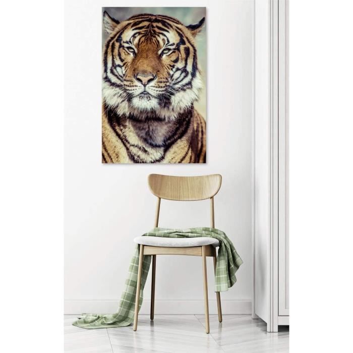 Tableau Décoratif Tigre Sur Verre Acrylique 100x50 Cm - Style Moderne - Marque Tulup - Parfait Pour Salon Ou Bureau