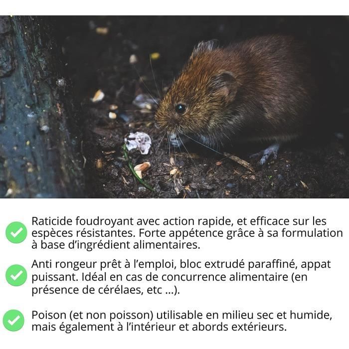 Aticide Souris et Rats – Souricide Professionnel Puissant, Mort aux Rats/Souris  foudroyant pour intérieur - Cdiscount Jardin