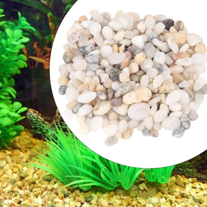 Drfeify gravier de sable d'aquarium Décoration d'aménagement paysager de  gravier de pierre de sable naturel pour Aquarium de