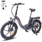 Vélo électrique 20'' FAFREES F20 PRO Max 25 km/h 250W 36V 18Ah Vélo pliant Gris