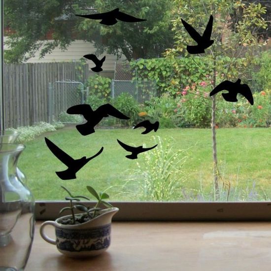 Autocollants Anti-collision Oiseaux Decooo.be | Lot 17 Silhouettes | Résistant UV/gel/pluie | Sablé Translucide