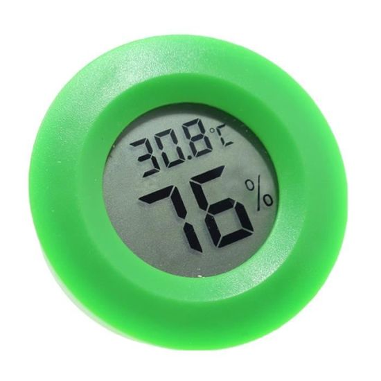 Thermomètre numérique Forme Fleur Vert