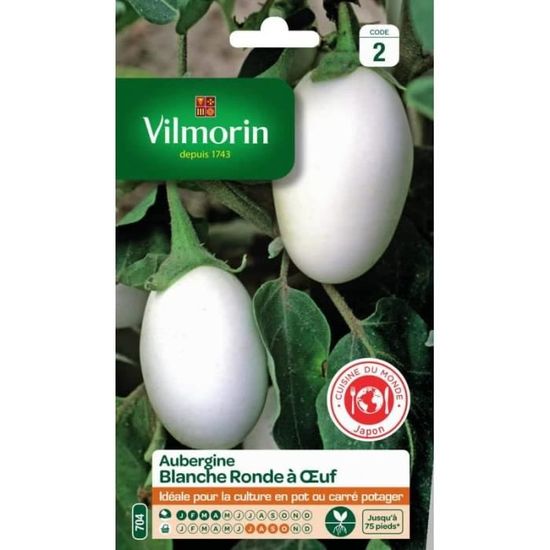 Graines Aubergine Violette Barbentane - Variété Allongée Pour Plein Champ