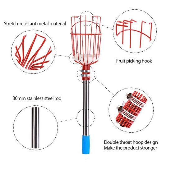 4M Cueille Fruit Telescopique, Cueilleur De Fruits Amovible Avec Poteau