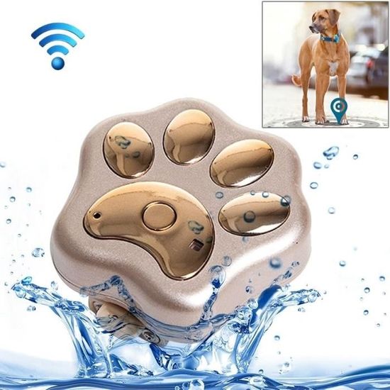 Traceur GPS Pour Chat Et Chien - Sans Abonnement, Suivi Mondial, Léger 27.5g - Compatible IOS/Android