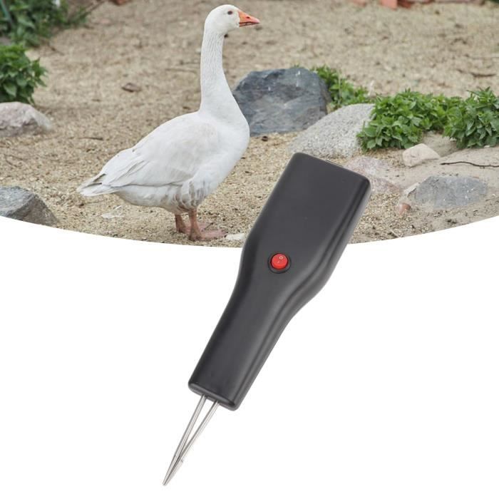 Plumeuse de volaille électrique - HJ011 - Batterie rechargeable - Étanche - Moteur à haut