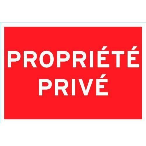Meilleurs prix pour Chapuis Panneau pvc adhésif 275 x 190 mm Propriété privée - PSR7