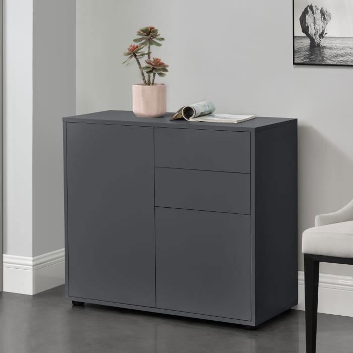 Commode Paarl 74 x 79 x 36 cm avec 2 portes gris foncé mat