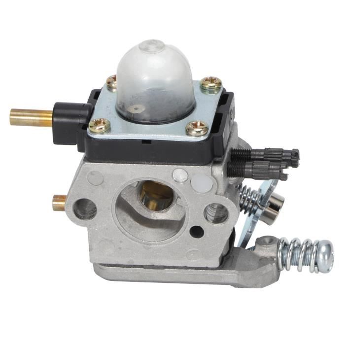 Carburateur De Rechange Haut De Gamme Pour Moteur – Compatible 497586 498170 799868 498254 497314