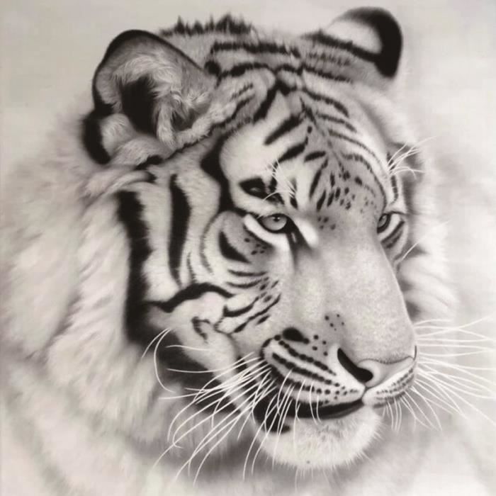 Peinture Par Numero Tigre Achat Vente Pas Cher