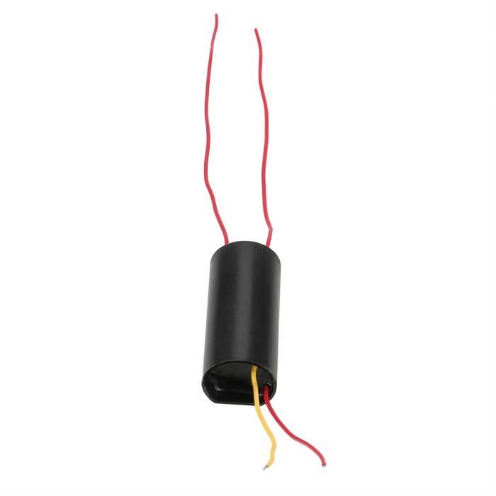 Générateur Haute Tension 30kV AC - Alimentation 12V DC - Pour Expériences Scientifiques, Générateur D'ions, Allumage Poêle - 30W - 14