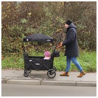 FableKids Chariot à pédales Leo X4Plus avec toit | Chariot de transport pliable | jusqu'à 20 kg par siège|Oxford 600D|Gris - Bricolage