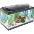 Aquarium TETRA Starter Line LED 54 L noir (Livré avec éclairage LED, filtre, chauffage, aliments et produits d'entretien)-0