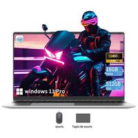 PC portable-17.3",Intel Celeron N5095(4C/4T,Jusqu'à 2,9 GHz),16Go RAM DDR4 512Go SSD,Windows 11PRO,WiFi5,HDMI，Ordinateur Portable